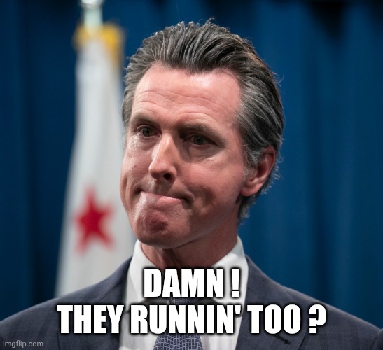 Gavin Newsom | Damn !
They runnin' too ? | image tagged in gavin newsom | made w/ Imgflip meme maker