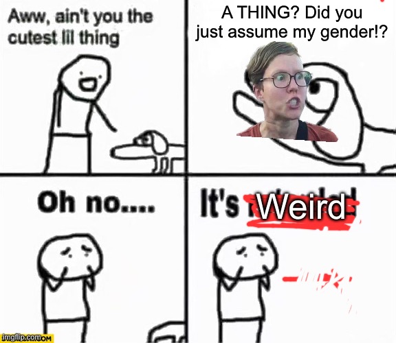 Oh no it's retarded! | A THING? Did you just assume my gender!? Weird | image tagged in oh no it's retarded | made w/ Imgflip meme maker