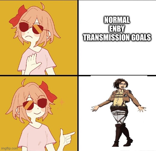 trans drake meme | Normal enby transmission goals | image tagged in trans drake meme | made w/ Imgflip meme maker