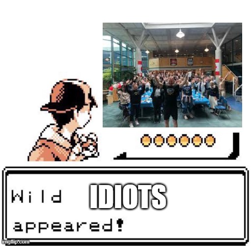 wild x appears | Idiots | image tagged in wild x appears | made w/ Imgflip meme maker