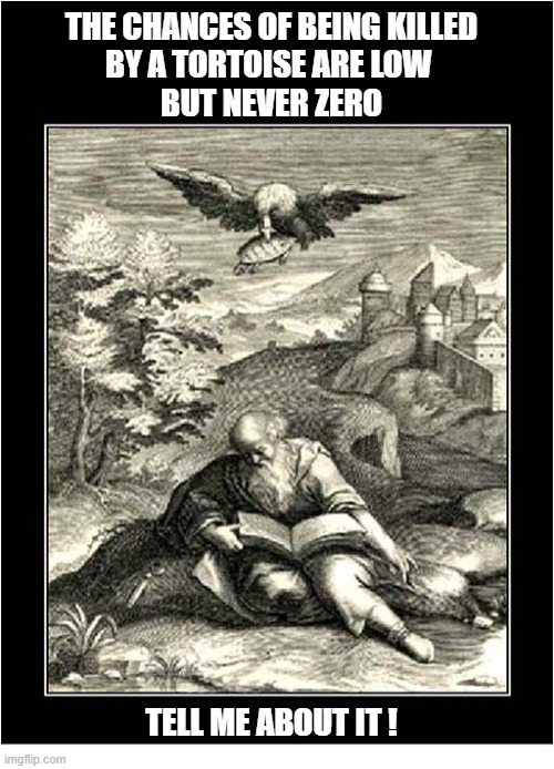 An Unlucky Aeschylus ! | The chances of being killed
by a tortoise are low 
but never zero; tell me about it ! | image tagged in greeks,legend,falling,tortiose,aeschylus | made w/ Imgflip meme maker