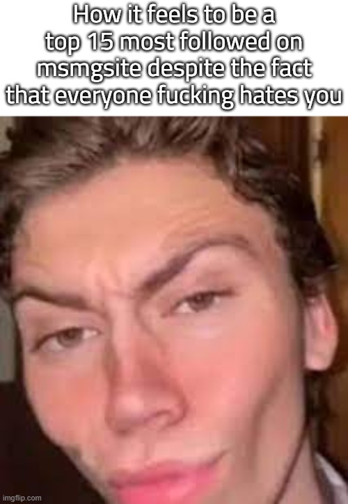 Rizz Face | How it feels to be a top 15 most followed on msmgsite despite the fact that everyone fucking hates you | image tagged in rizz face | made w/ Imgflip meme maker