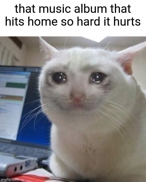 That one album can change your life | that music album that hits home so hard it hurts | image tagged in crying cat,music,album | made w/ Imgflip meme maker