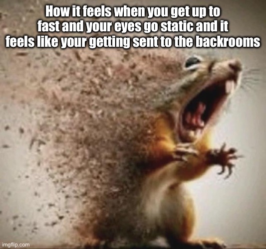 Is it just me? | How it feels when you get up to fast and your eyes go static and it feels like your getting sent to the back rooms | image tagged in badass squirrel disintegrating | made w/ Imgflip meme maker