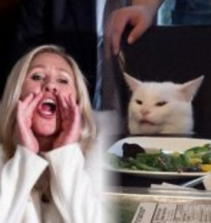 High Quality MTG and Smudge Blank Meme Template