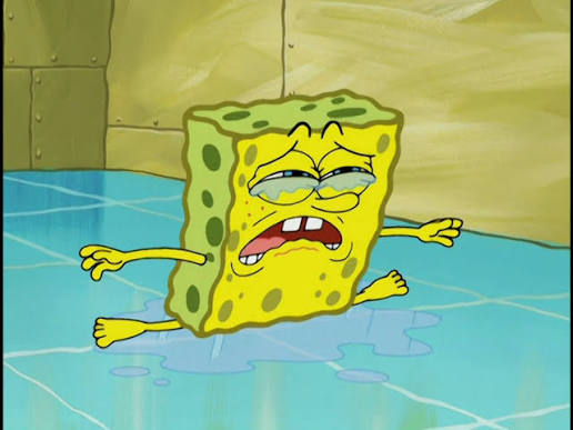 Sad sponge Blank Meme Template