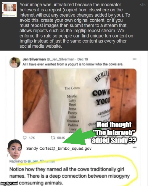 "Image Removed For Doing too well" Here's 48 for ya asshole | Mod thought "The Interweb" added Sandy ?? | image tagged in aoc deleted yogurt meme | made w/ Imgflip meme maker