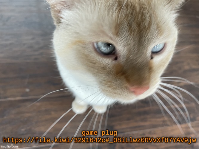 GitHub is still blocked so here have the raw html file | game plug
https://file.kiwi/3291042c#_O8iLlwz0RVvXf87YAV9jw | image tagged in cheze's cat | made w/ Imgflip meme maker