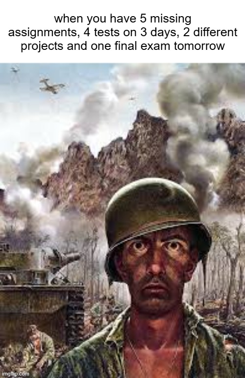 im fine i swear (njo the f**k I'm not) | when you have 5 missing assignments, 4 tests on 3 days, 2 different projects and one final exam tomorrow | image tagged in thousand yard stare,funny,school,cooked | made w/ Imgflip meme maker