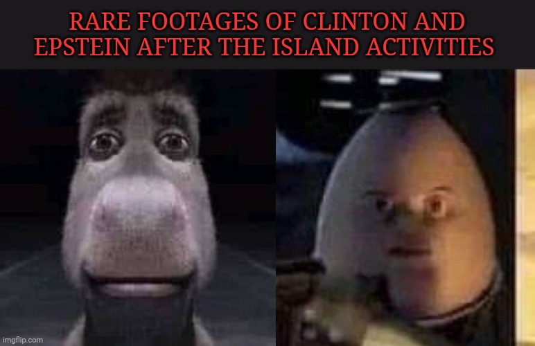 LOL, ok this one is genial. I compliment myself by myself | Rare footages of Clinton and Epstein after the island activities | image tagged in donkey staring,they will not find your body | made w/ Imgflip meme maker