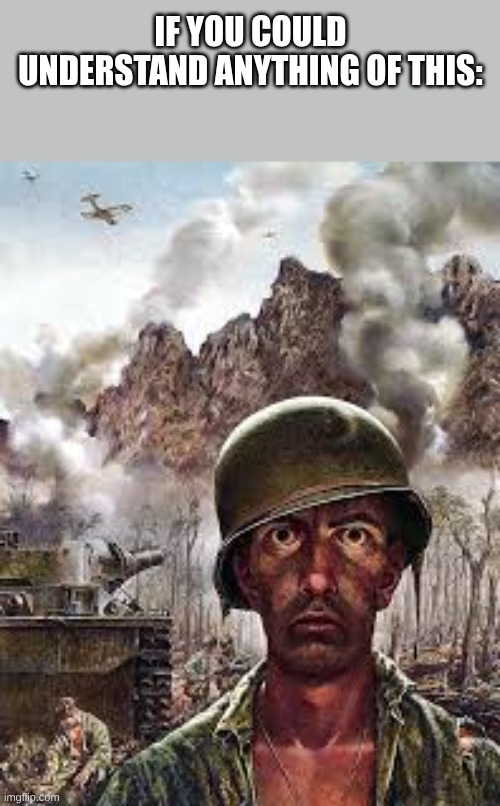 Thousand Yard Stare | if you could understand anything of this: | image tagged in thousand yard stare | made w/ Imgflip meme maker