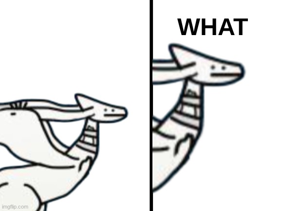 reshiram what Blank Meme Template