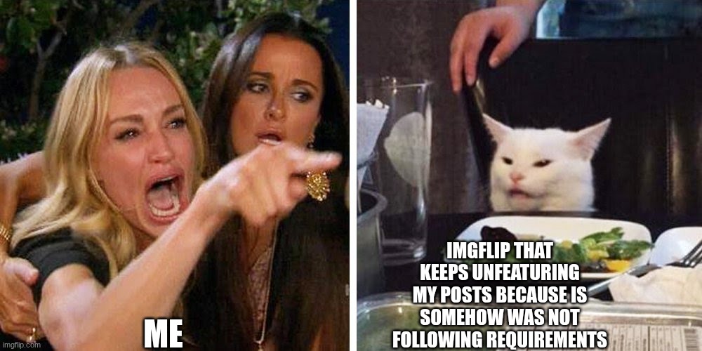 please stop unfeaturing me? | imgflip that keeps unfeaturing my posts because is somehow was not following requirements; me | image tagged in smudge the cat,memes | made w/ Imgflip meme maker