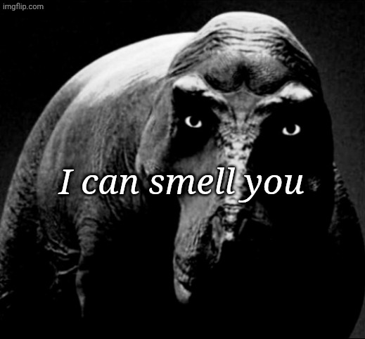 Grayscale Trex | I can smell you | image tagged in grayscale trex | made w/ Imgflip meme maker
