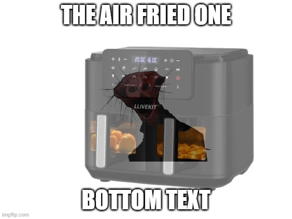 Unbelievably high effort meme | the air fried one; bottom text | image tagged in the boiled one,air fryer | made w/ Imgflip meme maker