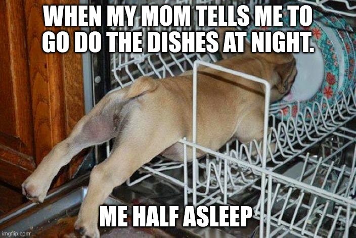 by door stuck | when my mom tells me to go do the dishes at night. me half asleep | image tagged in pup in dishwasher | made w/ Imgflip meme maker