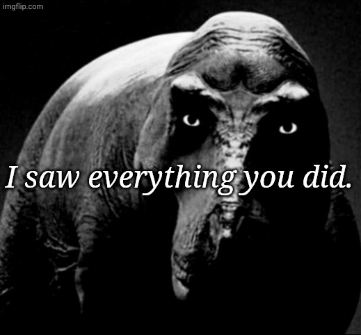 Grayscale Trex | I saw everything you did. | image tagged in grayscale trex | made w/ Imgflip meme maker