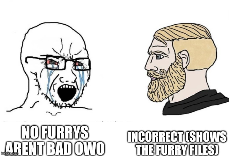 Soyboy Vs Yes Chad | Incorrect (shows the furry files); no furrys arent bad owo | image tagged in soyboy vs yes chad | made w/ Imgflip meme maker