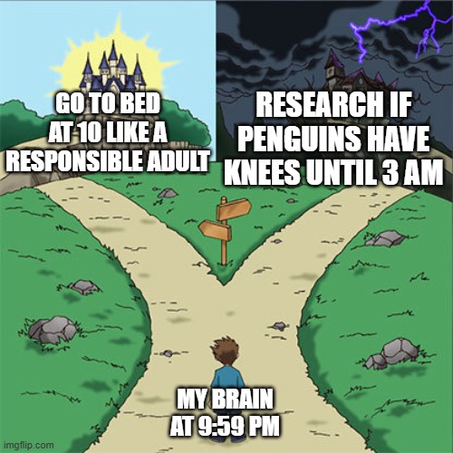 Penguins | Research if penguins have knees until 3 AM; Go to bed at 10 like a responsible adult; My brain at 9:59 PM | image tagged in two paths | made w/ Imgflip meme maker