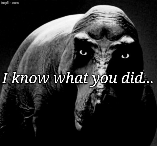Grayscale Trex | I know what you did... | image tagged in grayscale trex | made w/ Imgflip meme maker