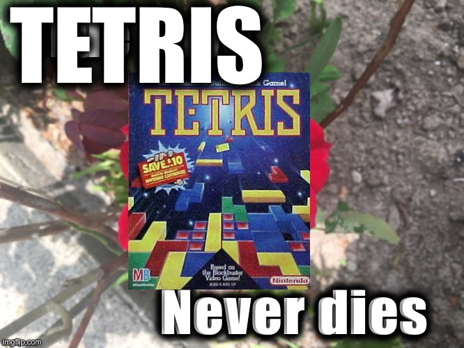 Tetris | image tagged in true love never dies red rose | made w/ Imgflip meme maker