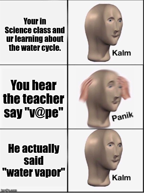 SID THE SCIENCE KID | Your in Science class and ur learning about the water cycle. You hear the teacher say "v@pe"; He actually said "water vapor" | image tagged in reverse kalm panik | made w/ Imgflip meme maker