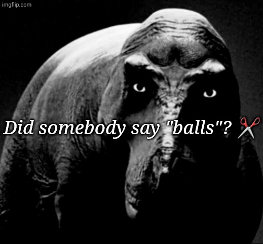Grayscale Trex | Did somebody say "balls"? ✂️ | image tagged in grayscale trex | made w/ Imgflip meme maker