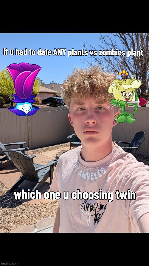 pvz | image tagged in plants vs zombies | made w/ Imgflip meme maker