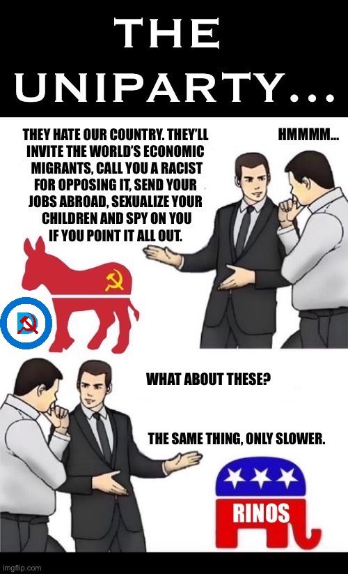 Birds of a feather… poop on the voters together | image tagged in political meme,uniparty,democrats,rinos,not much different,two sides of the same coin | made w/ Imgflip meme maker