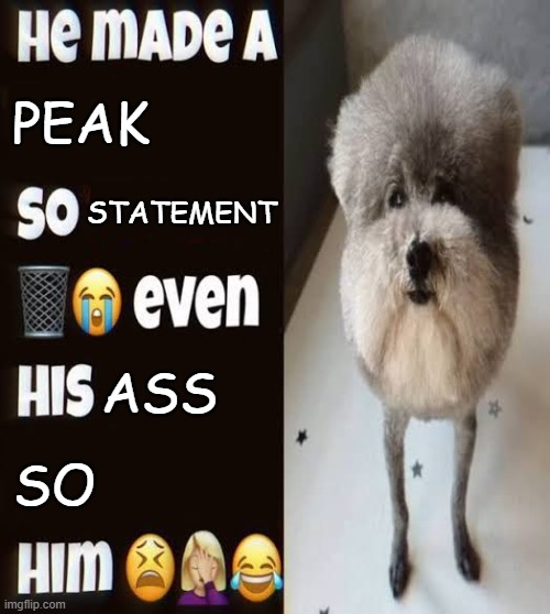 He made a statement so trash | PEAK; STATEMENT; ASS; SO | image tagged in he made a statement so trash | made w/ Imgflip meme maker