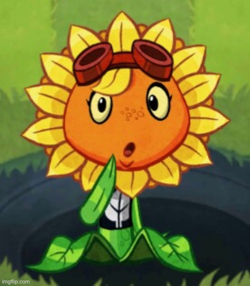 Confusion Solar Flare | image tagged in confusion solar flare | made w/ Imgflip meme maker