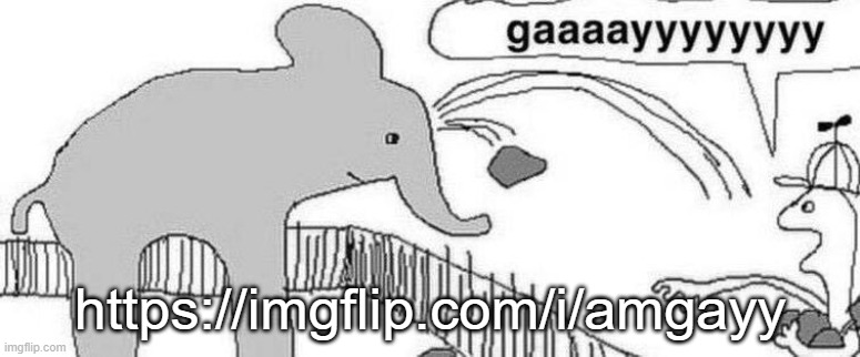 gaaaayyyyyyyy | https://imgflip.com/i/amgayy | image tagged in gaaaayyyyyyyy | made w/ Imgflip meme maker