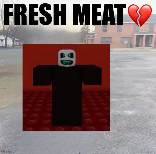FRESH MEAT!!!! | FResh meat💔 | image tagged in blank sybau maker | made w/ Imgflip meme maker