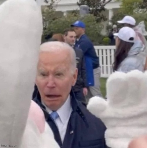 Best den vs The Easter Bunny | image tagged in best den vs the easter bunny | made w/ Imgflip meme maker
