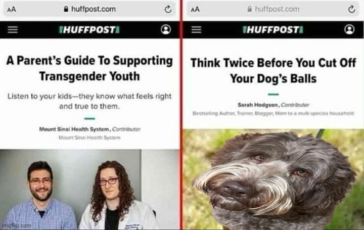 image tagged in balls | made w/ Imgflip meme maker