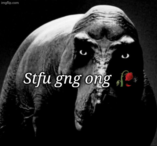 Stfu gng ong ? | image tagged in grayscale trex | made w/ Imgflip meme maker