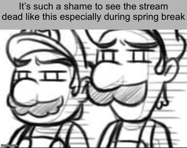 We did upgrade tho for better or for worse | It’s such a shame to see the stream dead like this especially during spring break | image tagged in a | made w/ Imgflip meme maker