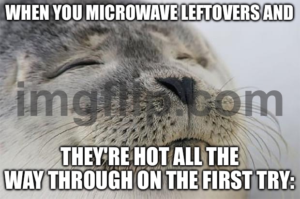 WHEN YOU MICROWAVE LEFTOVERS AND; THEY'RE HOT ALL THE WAY THROUGH ON THE FIRST TRY: | WHEN YOU MICROWAVE LEFTOVERS AND; THEY'RE HOT ALL THE WAY THROUGH ON THE FIRST TRY: | image tagged in memes,satisfied seal,leftovers,hot,microwave,food | made w/ Imgflip meme maker