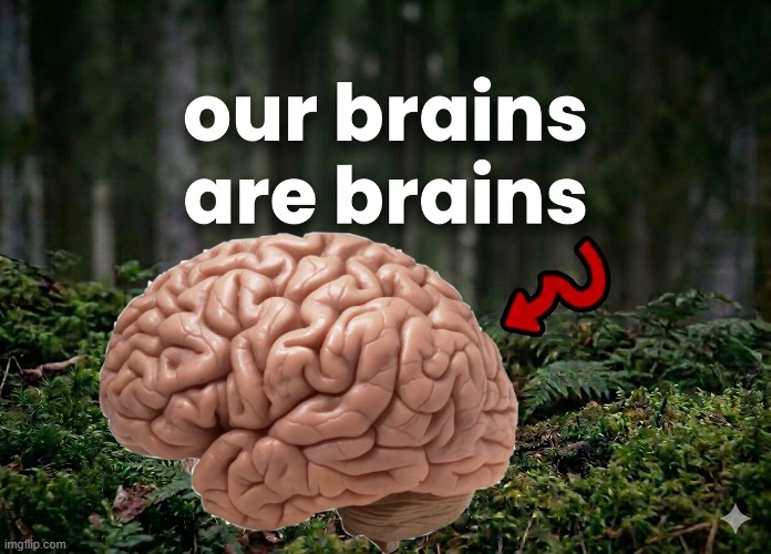 our brains are brains | image tagged in our brains are brains,bro had one job,had bro job one | made w/ Imgflip meme maker