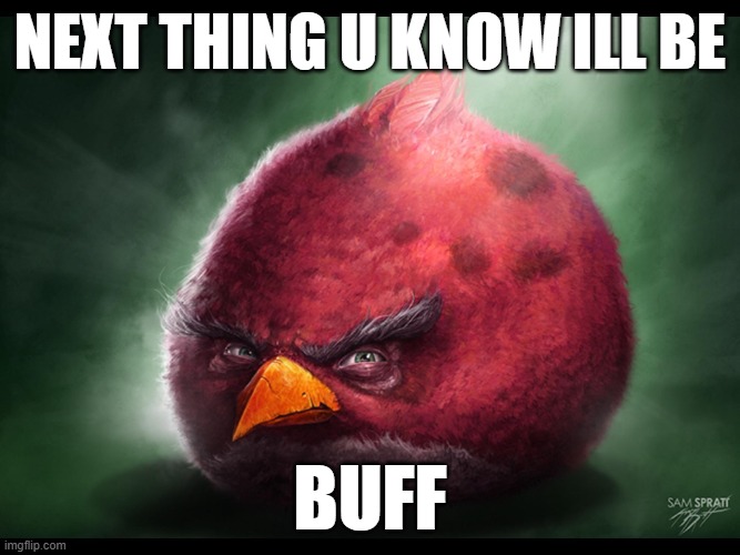 Realistic Angry Bird (big red) | NEXT THING U KNOW ILL BE; BUFF | image tagged in realistic angry bird big red | made w/ Imgflip meme maker