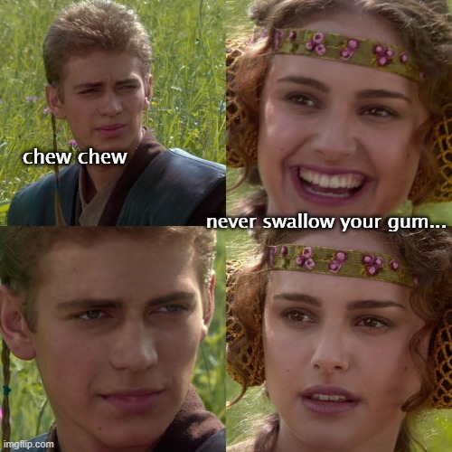 Anakin Padme 4 Panel | chew chew; never swallow your gum... | image tagged in anakin padme 4 panel | made w/ Imgflip meme maker
