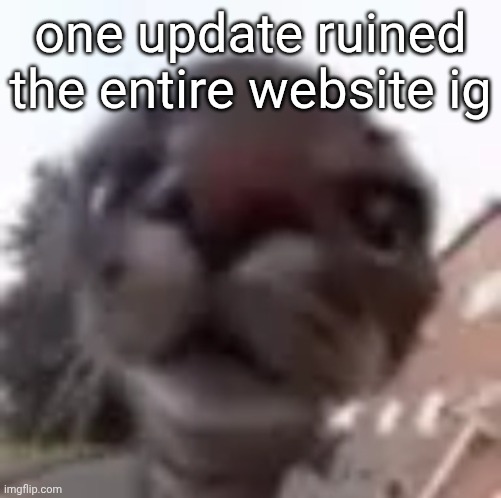 roundcat | one update ruined the entire website ig | image tagged in roundcat | made w/ Imgflip meme maker