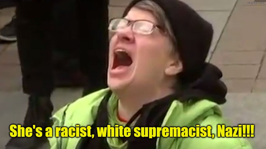 Screaming Liberal  | She's a racist, white supremacist, Nazi!!! | image tagged in screaming liberal | made w/ Imgflip meme maker
