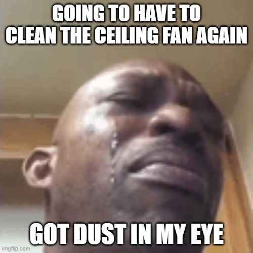 I'm not crying | Going to have to clean the ceiling fan again; got dust in my eye | image tagged in crying,dusty ceiling fan,water in my eye,not crying your crying | made w/ Imgflip meme maker