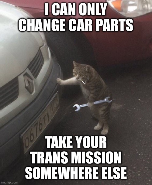 Rejected by politics stream | I can only change car parts; Take your
Trans mission
Somewhere else | image tagged in cat mechanic | made w/ Imgflip meme maker