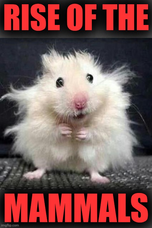 Stressed Mouse | Rise of the Mammals | image tagged in stressed mouse | made w/ Imgflip meme maker