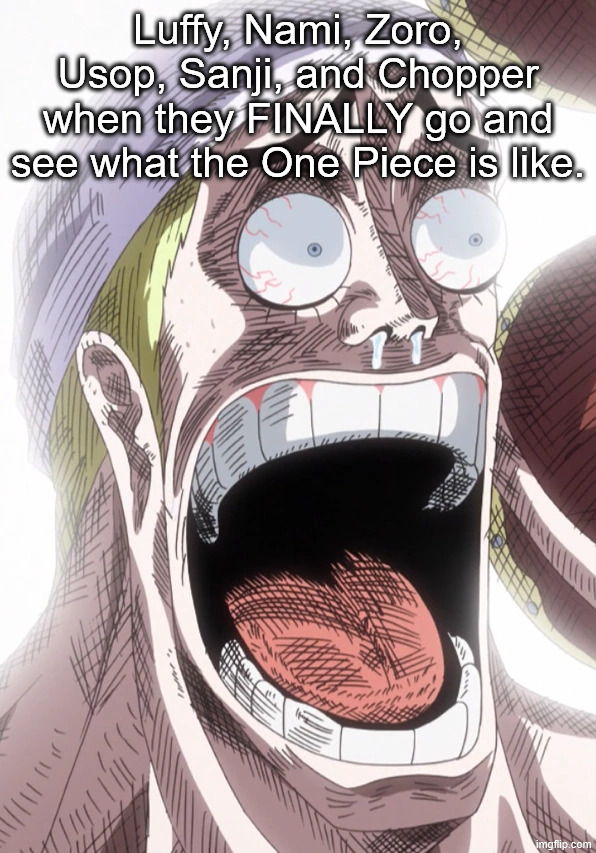 One Piece Enel Shocked | Luffy, Nami, Zoro, Usop, Sanji, and Chopper when they FINALLY go and see what the One Piece is like. | image tagged in one piece enel shocked,one piece,memes,finale | made w/ Imgflip meme maker