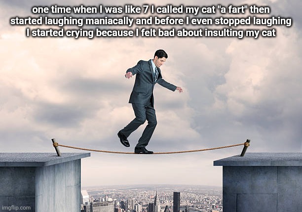 random info about my life | one time when I was like 7 I called my cat "a fart" then
started laughing maniacally and before I even stopped laughing
I started crying because I felt bad about insulting my cat | image tagged in man walking on rope | made w/ Imgflip meme maker