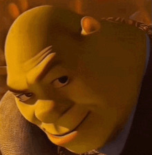 Shrek I have an idea Blank Meme Template