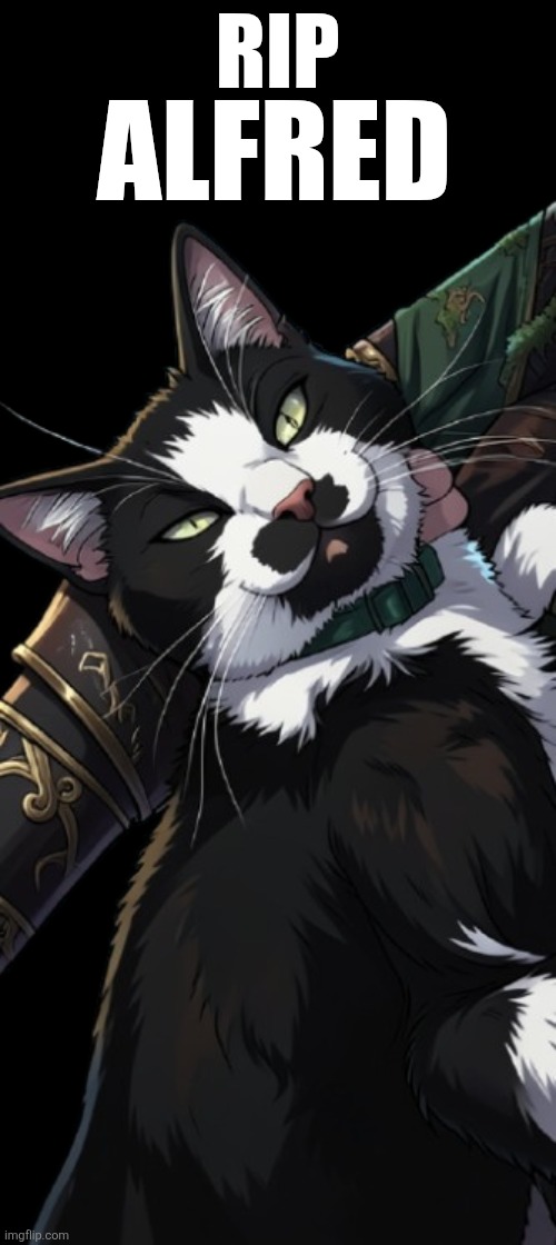 RIP Alfred ? | Rip; Alfred | image tagged in rip alfred | made w/ Imgflip meme maker